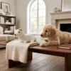Goose feather squeaky dog chew toy