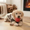 apricot-casual-dog-sweatshirt Apricot Contrast Plaid Dog Sweatshirt