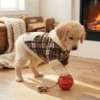 apricot-plaid-pet-sweatshirt Apricot Contrast Plaid Dog Sweatshirt