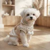Cartoon Bear Dog Sweatshirt