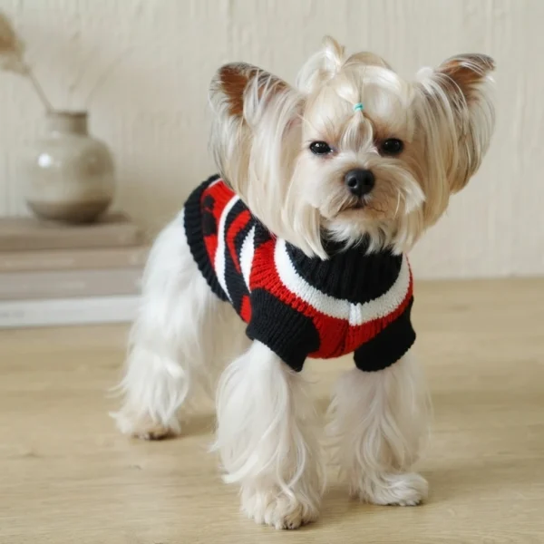 Black and red poker dog sweater