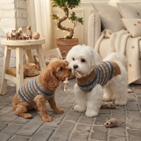 Blue and brown knit dog sweater