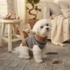 Theo Blue & Brown Striped Dog Sweater