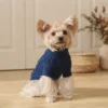blue-cozy-knit-dog-hoodie Blue cozy knit dog hoodie