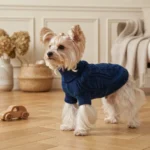 Blue Twisted Knit Dog Hoodie