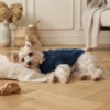 blue-warm-knit-dog-hoodie Blue warm knit dog hoodie