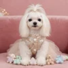 celeste-champagne-princess-dog-dress Celeste champagne princess dog dress