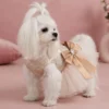 champagne-tulle-wedding-dog-dress Celeste Champagne Princess Dog Dress