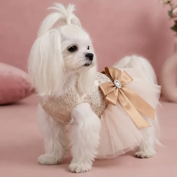 champagne-tulle-wedding-dog-dress Celeste Champagne Princess Dog Dress