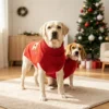 claus-red-reindeer-dog-sweater Claus red reindeer dog sweater