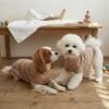 coffee-cozy-knit-dog-sweater Cozy coffee knit dog sweater