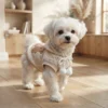 Cute bear dog sweatshirt
