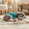 Cyan warm knit dog sweater