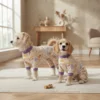 Dark violet cartoon pajamas for dogs