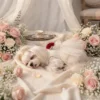 Elegant white wedding dog dress