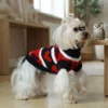 Fashionable poker knit dog sweater
