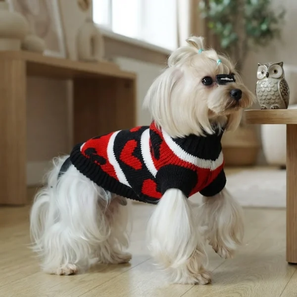 Fashionable poker knit dog sweater
