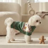 Festive green Christmas dog sweater