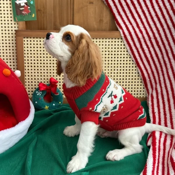 Festive red Christmas dog sweater