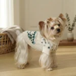 Green Aspen Snowflake Dog Sweater