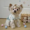 Green Christmas snowflake dog sweater