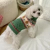 Gingerbread Green Christmas Dog Sweater