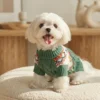 Green holiday dog sweater