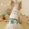 Green winter knit dog sweater