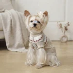 Light Khaki High Neck Dog Sweater