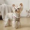 Light Khaki High Neck Dog Sweater