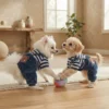 Warm navy blue dog overalls