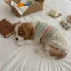nordic-knit-winter-dog-sweater Nordic knit winter dog sweater
