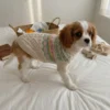nordic-pattern-dog-sweater Nordic pattern dog sweater