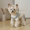 Off White High Neck Dog Sweater