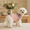 Pink floral knit sweater for dogs