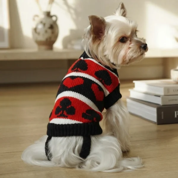 Rouge Ace Poker Dog Sweater