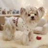 Red Aspen snowflake dog sweater