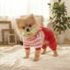 Red Bear Fleece Dog Overalls
