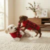 Red holiday dog sweater