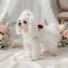 Red rose tulle dog dress