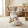 Red winter knit dog sweater