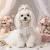 Rosalie white tulle dog dress