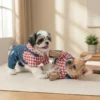 Rose Red Faux Denim Dog Overalls