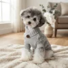 Space gray cable knit dog sweater