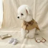 Windproof Dog Trench Coat