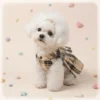 Stylish plaid dog dress