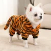 Tiger dog outfit