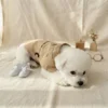 Windproof Dog Trench Coat