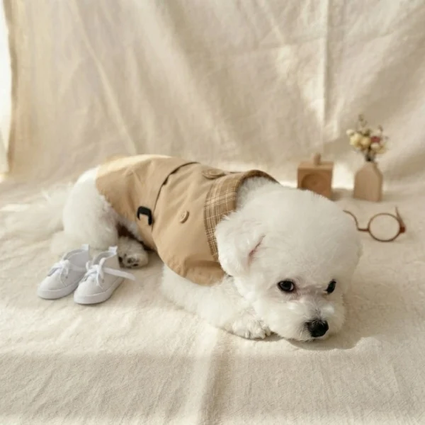 Windproof Dog Trench Coat
