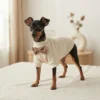 White Waffle Knit Dog Coat with Bow